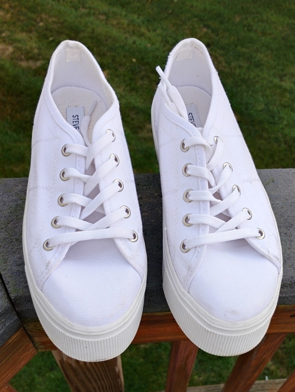 Steve Madden Emmi White Canvas Platform Sneakers Lowtop Chunky Lace Up 8.5